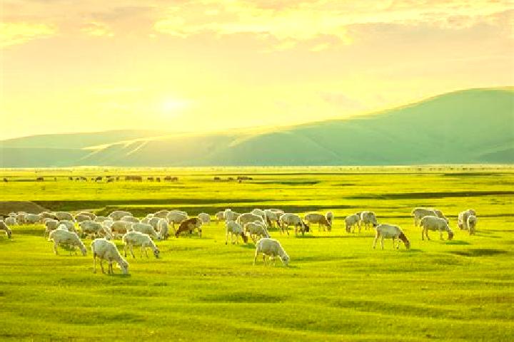 Piper, 29 — Escort in Buerenhayrhan, Mongolia