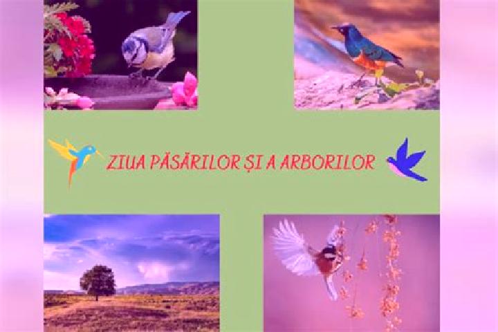 Piper, 29 — Escort in Larga-Jijia, Romania