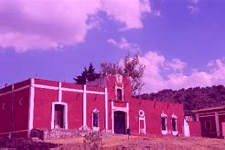 Piper, 29 — Escort in Montecillos, Mexico