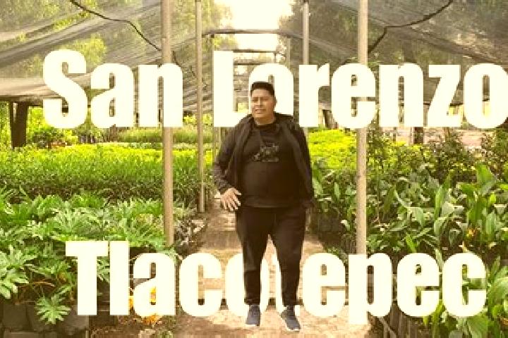 Piper, 29 — Escort in San Lorenzo Tlacotepec, Mexico