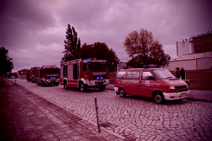 Piper, 29 — Escort in Steutz, Germany