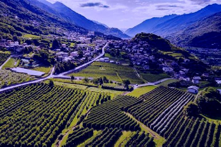 Piper, 29 — Escort in Tresivio, Italy