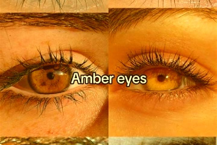 Piper, 30, a chestnut amber-eyed european companion based in Motong. Offering Erotic Massage, A-Level, Girlfriend Experience, GFE. Available for incall and o...