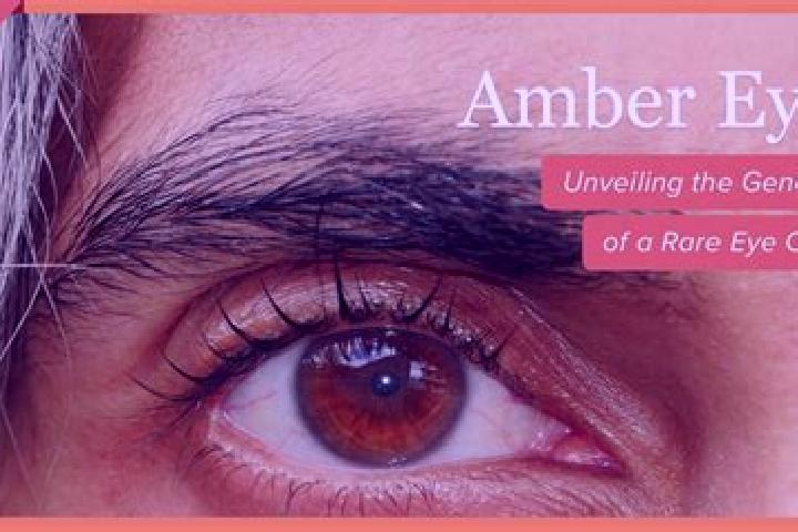 Piper, 30, a red amber-eyed slavic companion based in Alcantil. Offering Striptease, CIM, Overnight. Available for incall and outcall, day and evening dates.