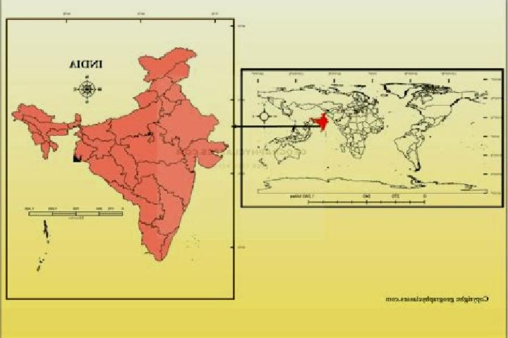 Piper, 30 — Escort in Jakhri, India