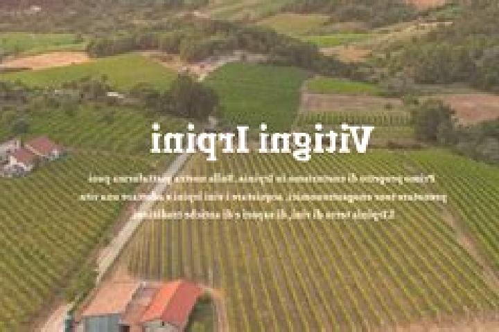 Piper, 30 — Escort in Montecalvo Versiggia, Italy