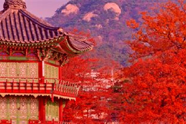 Piper, 30 — Escort in Pyeongtaek, South Korea