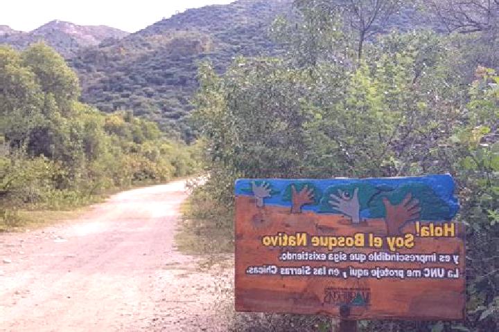 Piper, 30 — Escort in Valle de Vaquerias, Mexico