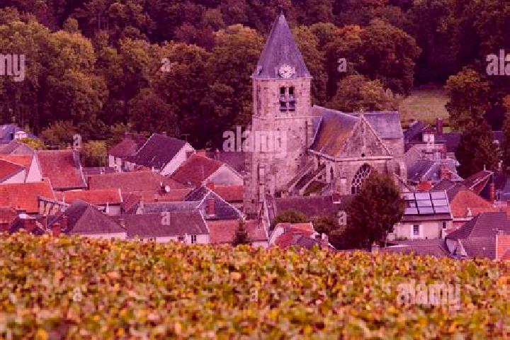 Piper, 31 — Escort in Avenay-Val-d Or, France