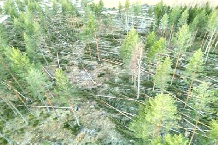 Piper, 31 — Escort in Kilafors, Sweden