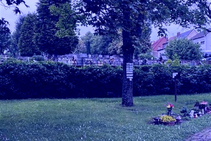 Piper, 31 — Escort in Kleinblittersdorf, Germany
