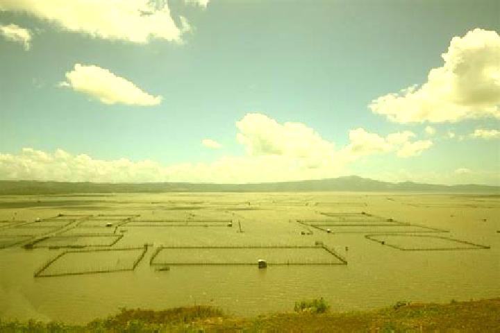 Piper, 31 — Escort in Laguna de Farfan, Mexico