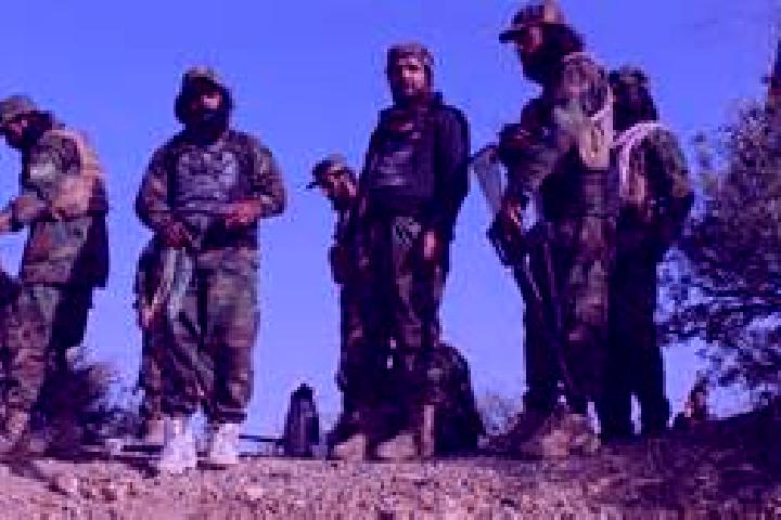 Piper, 31 — Escort in Maidan Khulah, Afghanistan