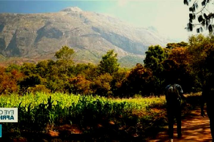 Piper, 31 — Escort in Mulanje, Malawi
