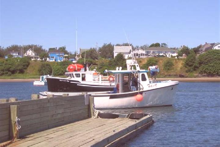 Piper, 31 — Escort in Port Morien, Canada