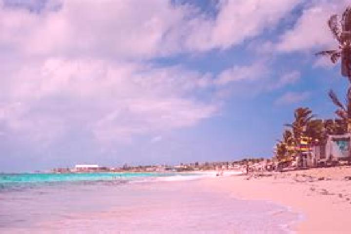 Piper, 31 — Escort in San Andres, Panama