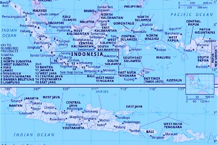Piper, 31 — Escort in Sekararum, Indonesia