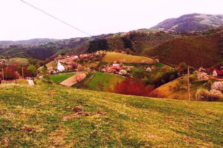 Piper, 31 — Escort in Valea Parului, Romania