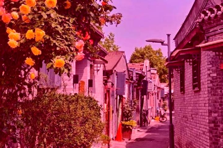 Piper, 32 — Escort in Beiling, China