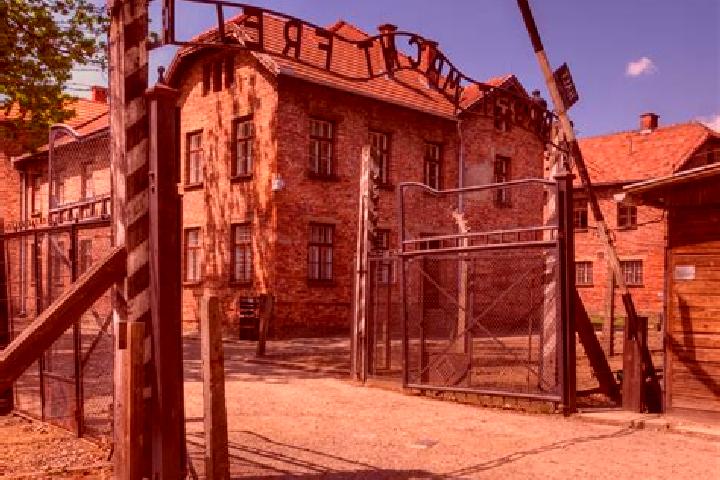 Piper, 32 — Escort in Birkenau, Germany