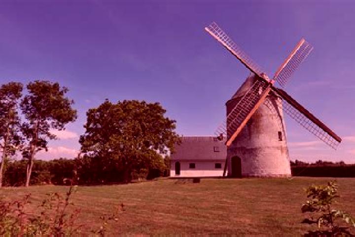 Piper, 32 — Escort in Bouquehault, France