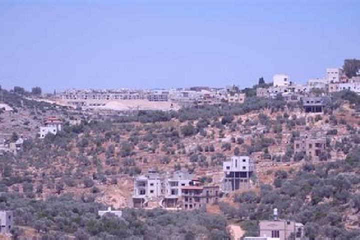 Piper, 32 — Escort in Bruchin, Palestine