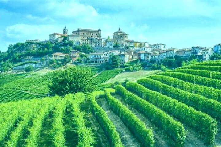 Piper, 32 — Escort in Cissone, Italy