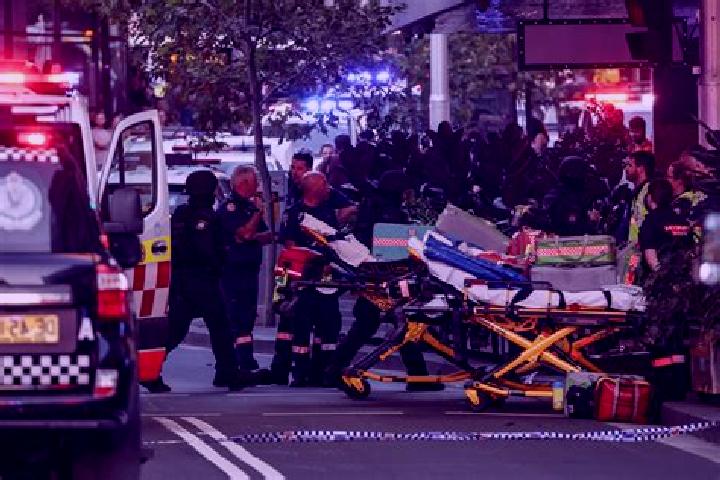 Piper, 32 — Escort in Clapham, Australia
