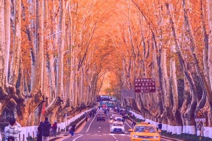 Piper, 32 — Escort in Gaohe, China