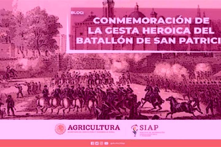 Piper, 32 — Escort in Heroico Batallon de San Blas, Mexico