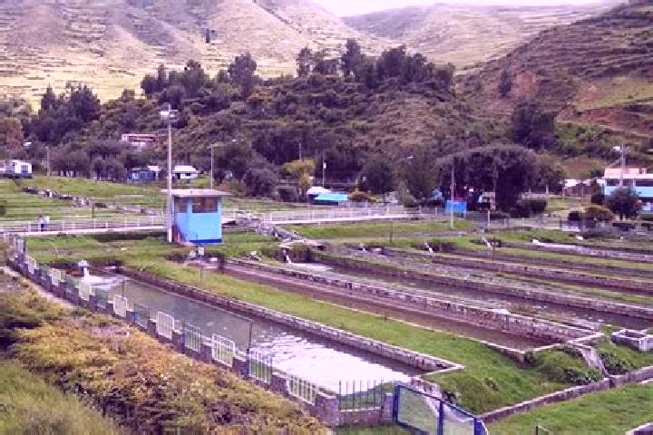Piper, 32 — Escort in Ingenio, Peru