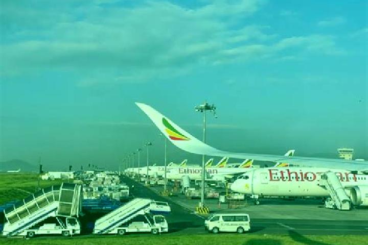 Piper, 32 — Escort in Mega, Ethiopia