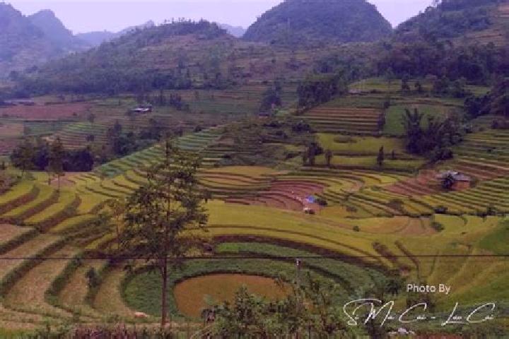 Piper, 32 — Escort in Si Ma Cai, Vietnam