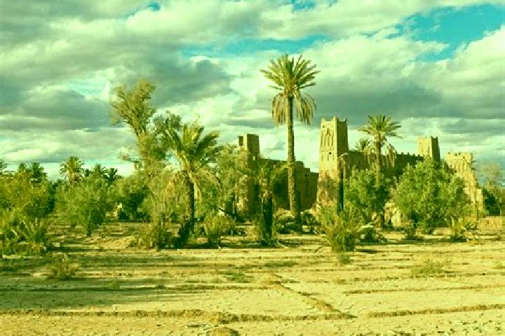Piper, 32 — Escort in Skoura, Morocco