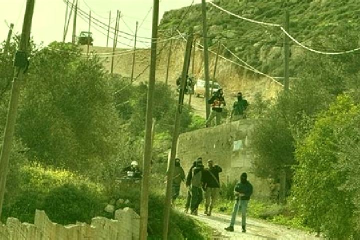 Piper, 32 — Escort in Talfit, Palestine
