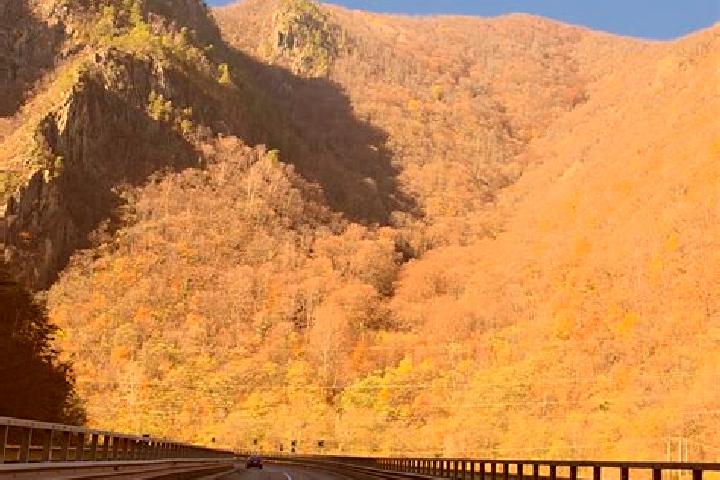 Piper, 32 — Escort in Valea Parului, Romania