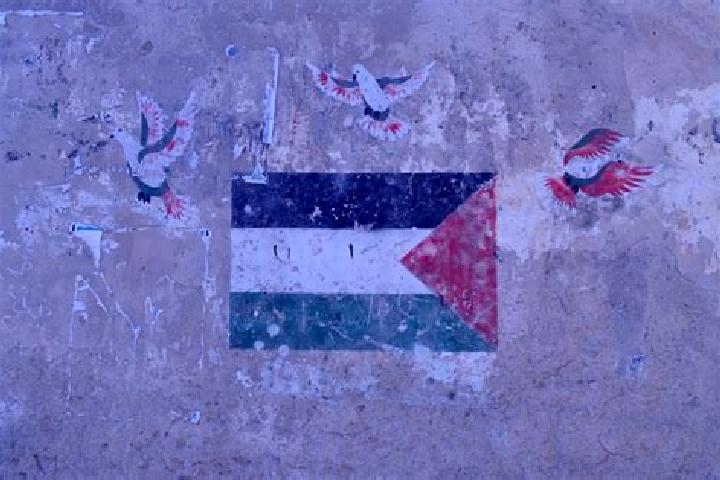 Piper, 33 — Escort in Baqah ash Sharqiyah, Palestine