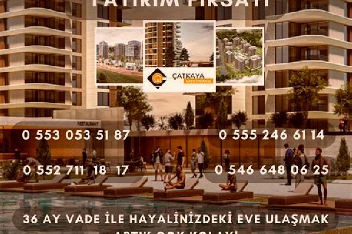 Piper, 33 — Escort in Catkaya, Turkey