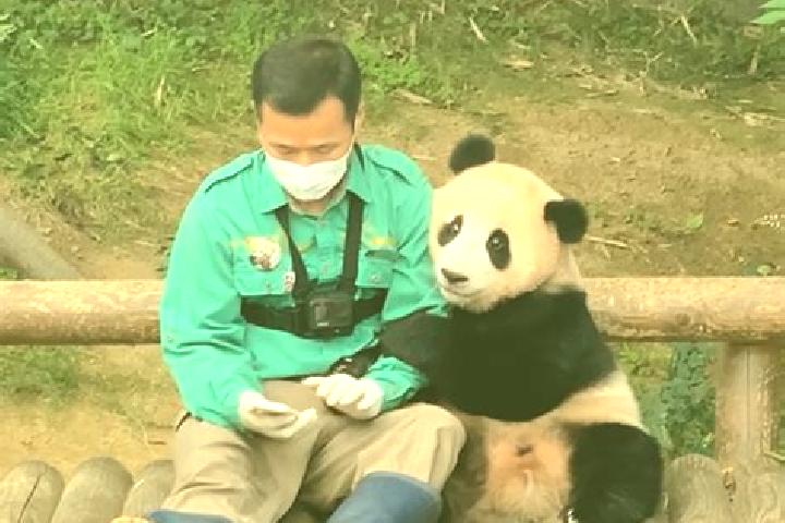 Piper, 33 — Escort in Fubao, China