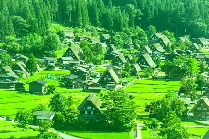 Piper, 33 — Escort in Gifu, Japan