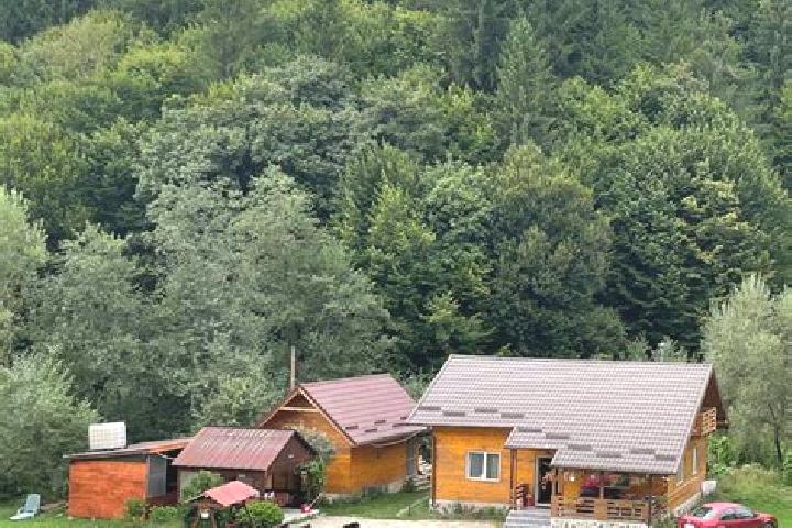 Piper, 33 — Escort in Holbav, Romania