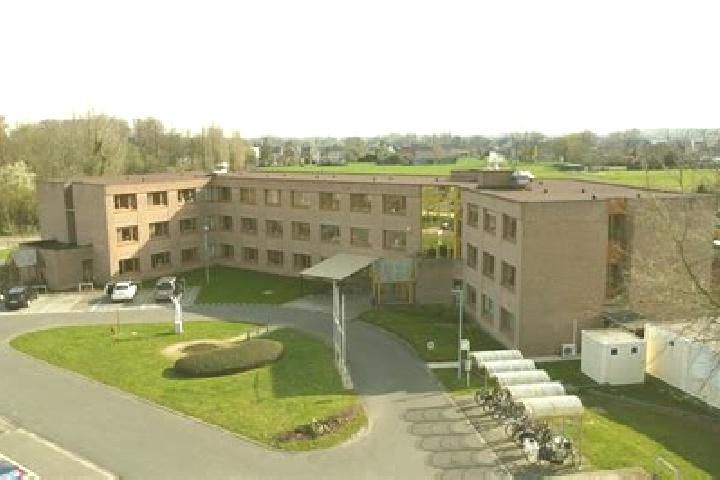 Piper, 33 — Escort in Lede, Belgium