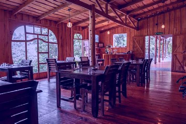 Piper, 33 — Escort in Tejar, Costa Rica
