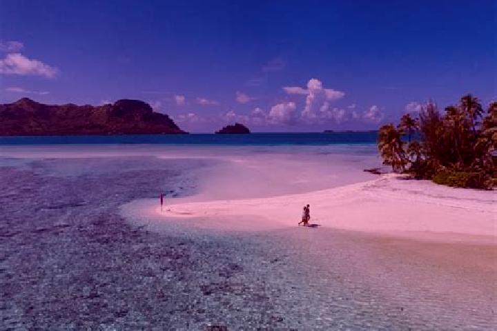 Piper, 34 — Escort in Arue, French Polynesia