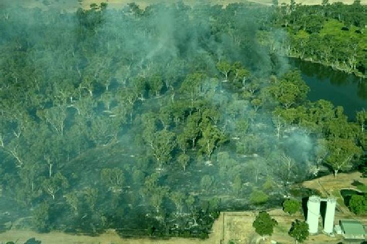 Piper, 34 — Escort in Bullaburra, Australia