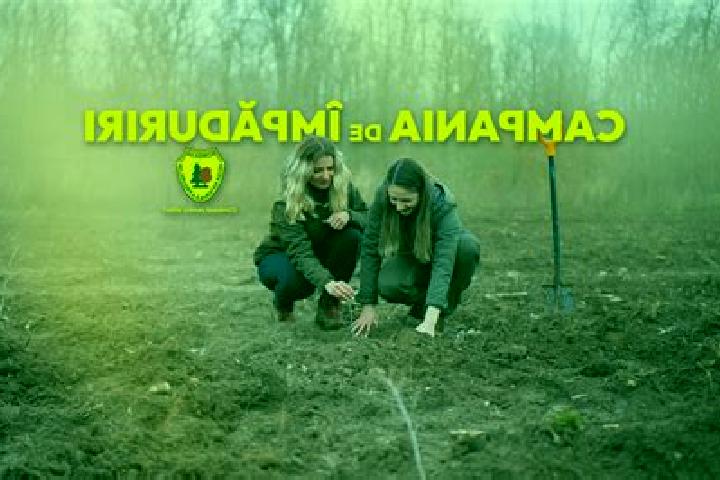 Piper, 34 — Escort in Ciuta, Romania