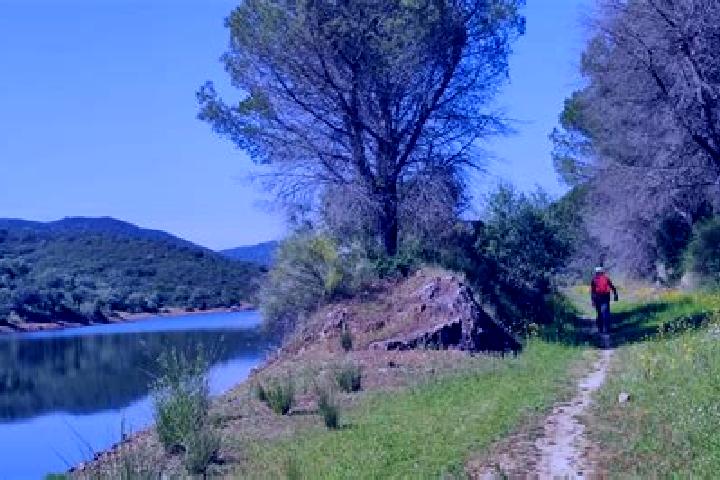 Piper, 34 — Escort in Guillena, Spain