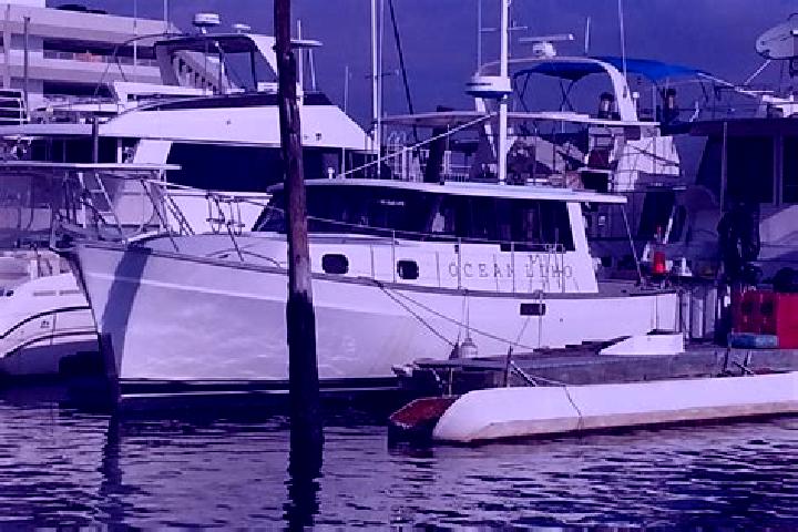 Piper, 34 — Escort in North Brighton, Australia
