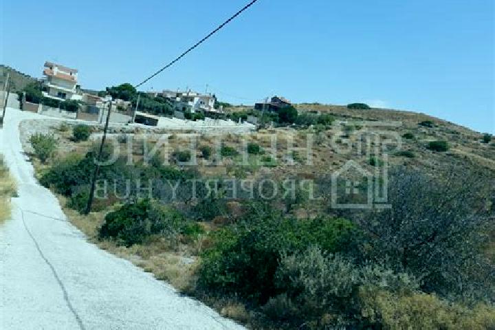 Piper, 34 — Escort in Pefka, Greece