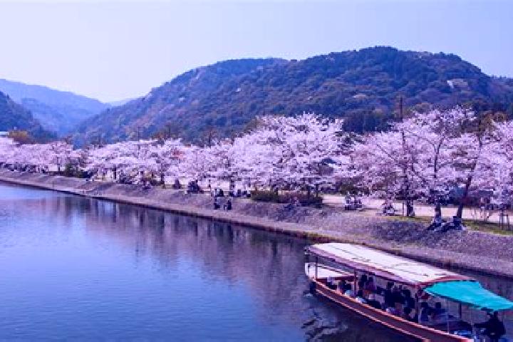 Piper, 34 — Escort in Uji, Japan